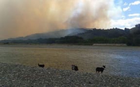 A large forest fire burning in the Waikakaho Valley near Blenheim on 25 November 2015.