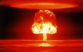 60 New Zealand MPs have called on the world's nuclear powers to disarm.