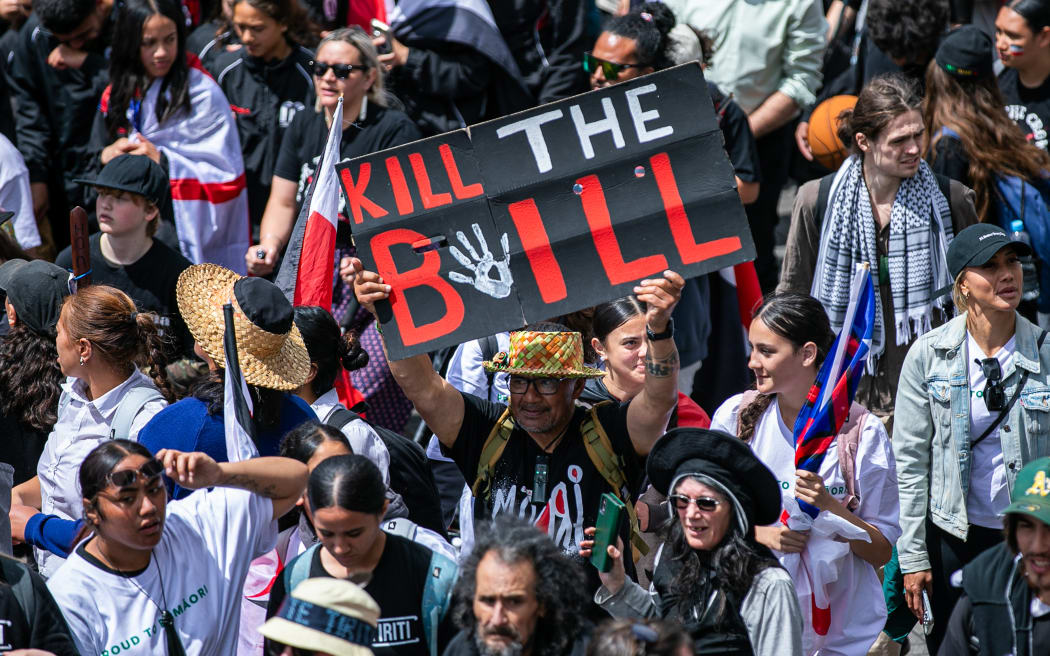 Scenes from the 2024 Hikoi to Parliament in protest against the treaty principles bill.
