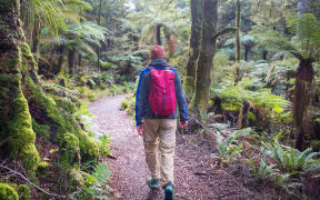 Hiking and tramping in New Zealand. Travel and adventure concept