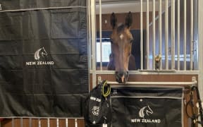 Eight horses have been flown to Tokyo to join the six New Zealand riders in the eventing and showjumping teams.