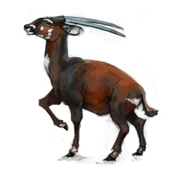 The Saola illustration