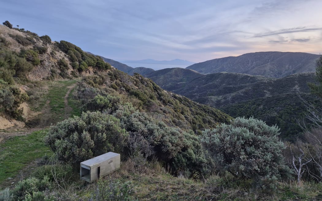 Views from the hills of Terawhiti Station expand out to the South Island.