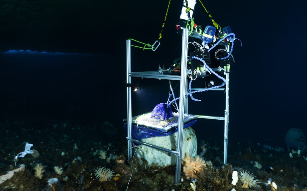 A metal frame with tubes and bottles attached sits on the seafloor in ocean so dark it is black. The apparatus is positioned over a large spherical sponge, nestled on muddy seafloor among other strange sponges and marine plants.