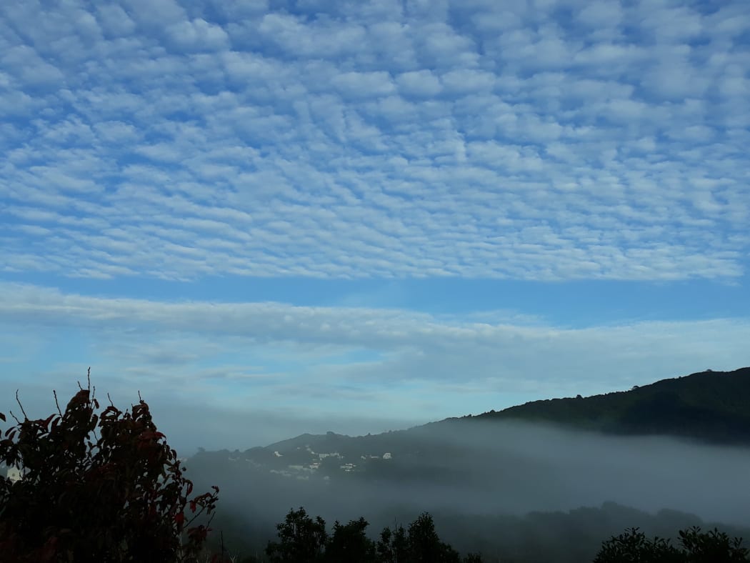 Autumn morning, Wellington