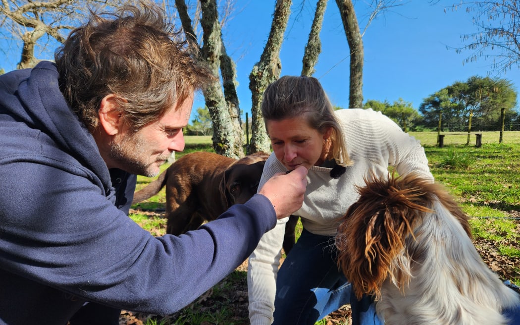 Kneeling among the trees, Lance holds a truffle out for Nikki to smell as Indie looks on