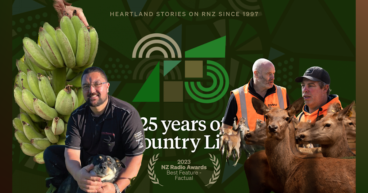 Country Life For Friday 19 January 2024 Country Life RNZ   4KYBJDW Country Life 5 Png