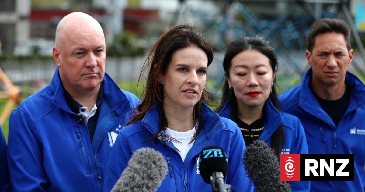 National vows to limit screen time in primary schools, early childhood centres