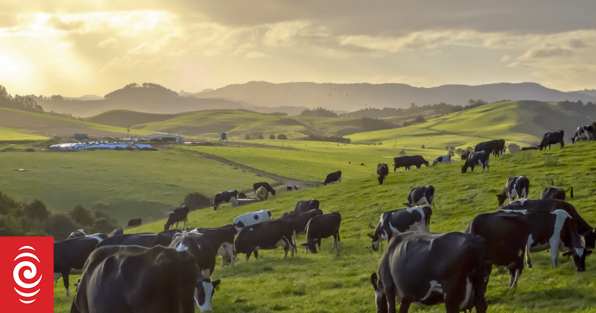 How to support a low-emissions farming future