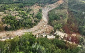 A gully of pine forestry near Gisborne that slipped in Cyclone Gabrielle