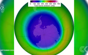 Ozone healing could reduce skin cancers and sunburn: RNZ Checkpoint