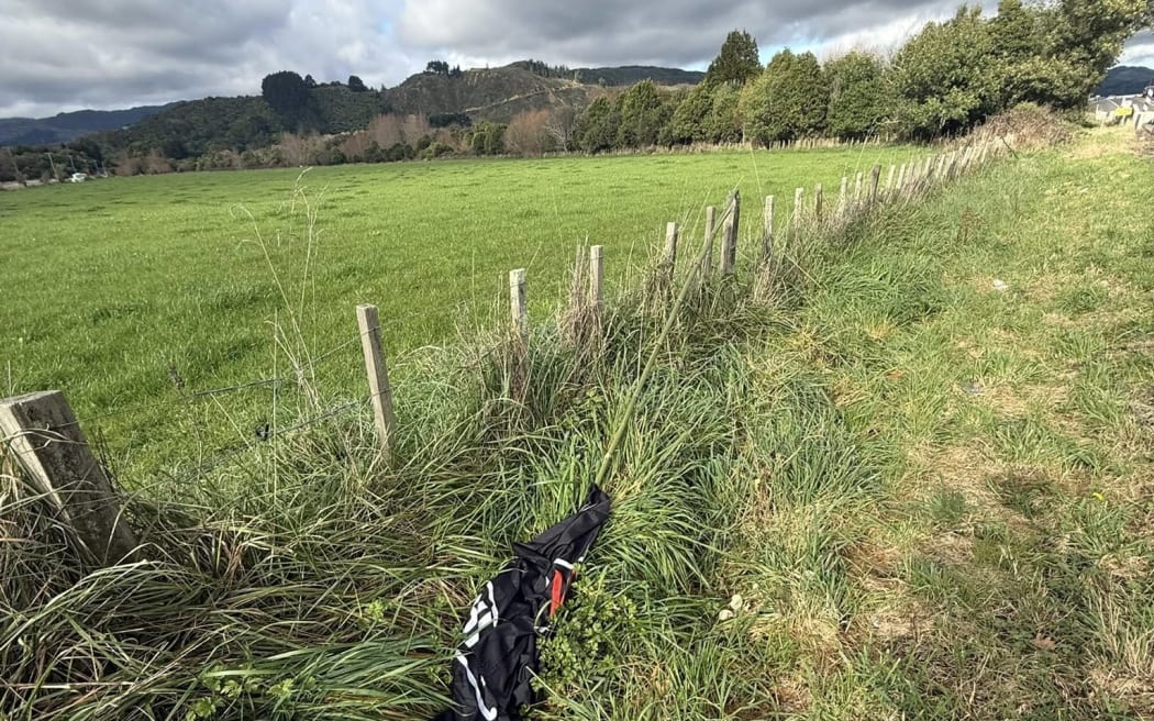 The flags, which line both sides of State Highway 1 between Ōtaki and Levin, were originally erected in November 2024 to support the Hīkoi mō Te Tiriti - a march to Parliament opposing ACT's Treaty Principles Bill.