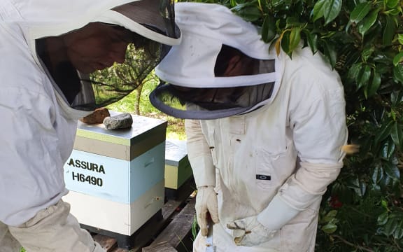 Jack Eschenbach (R) and friend George Hargood tend the hives