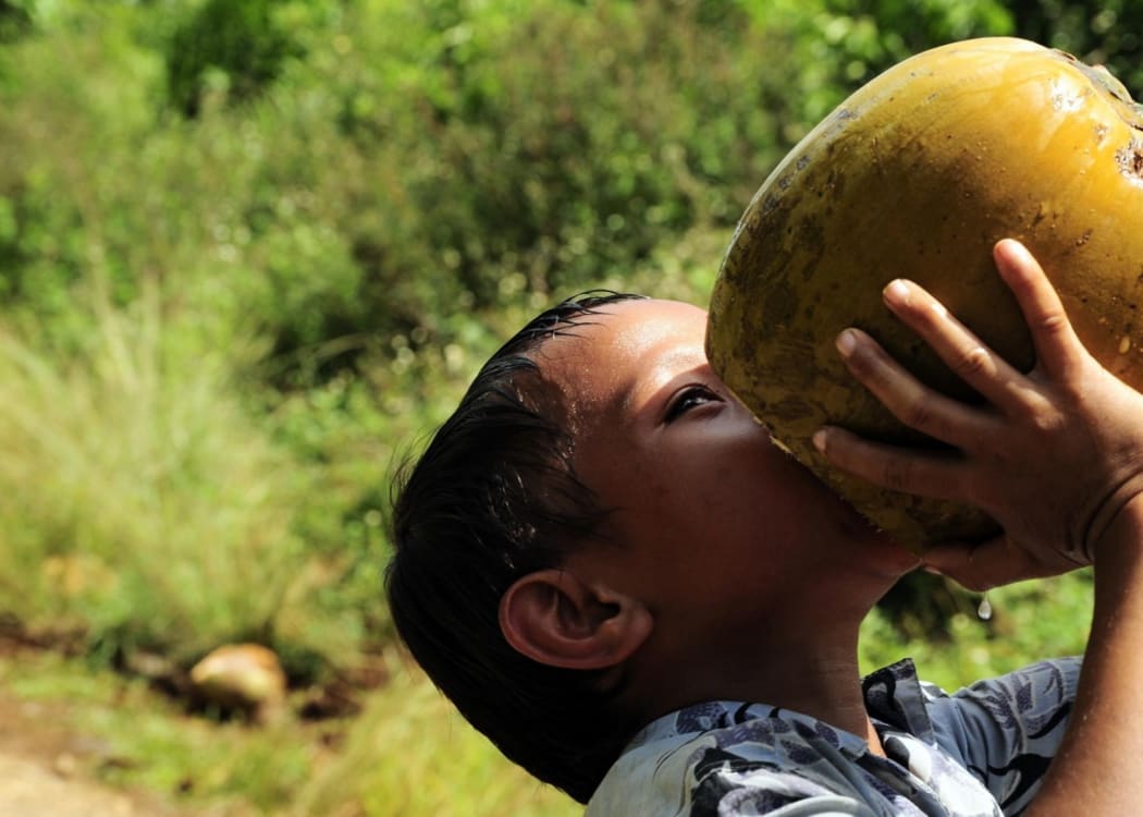 A Tongan child drinks from a coconut near the Tuanekivale medical site for Pacific Partnership 2011.