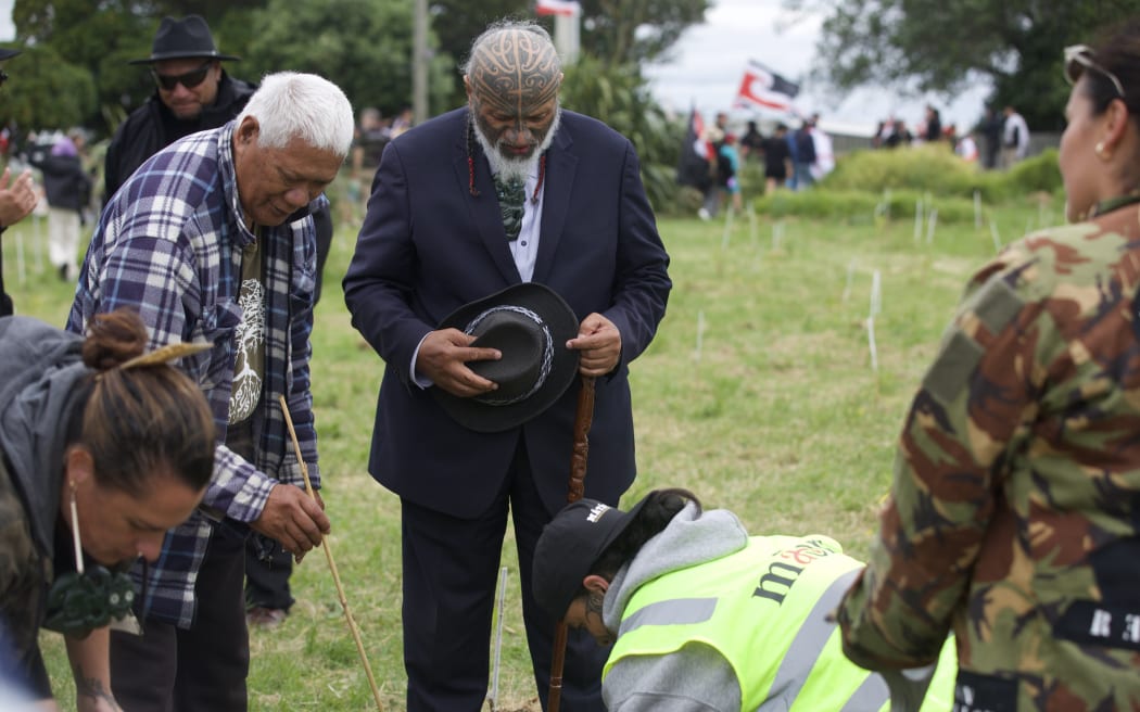 A karakia is said as one of the hīkoi organisers, Eru Kapa-Kingi, plants a tree at Ihumātao