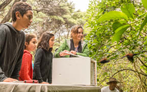 Project Island Song supporters help release rare saddlebacks onto pest-free islands in the Bay of Islands, in 2015.
