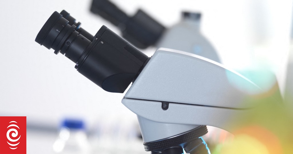 Universities strike deal to keep access to Elsevier scientific journals