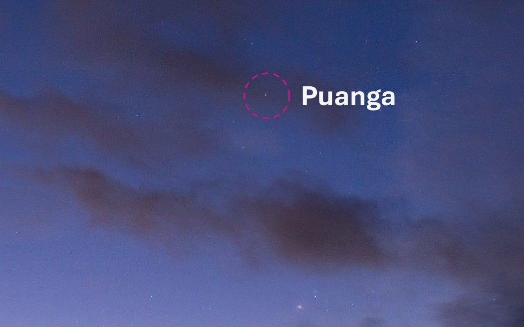 Puanga circled