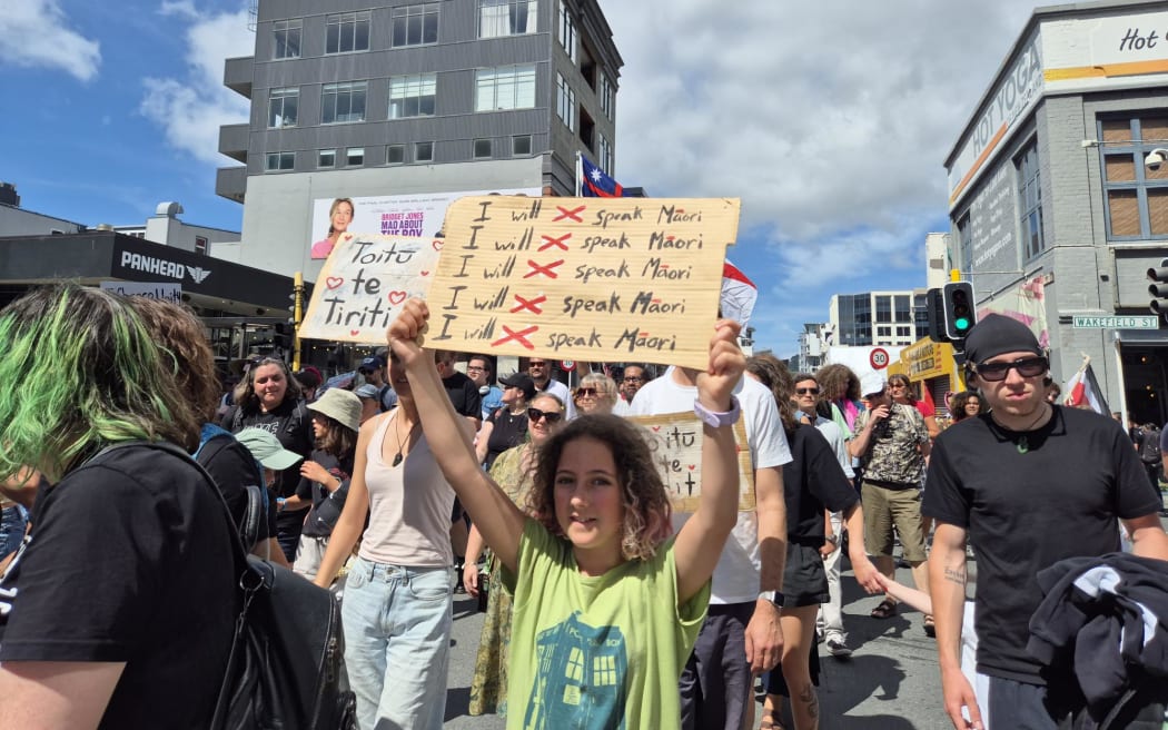 Waitangi hikoi