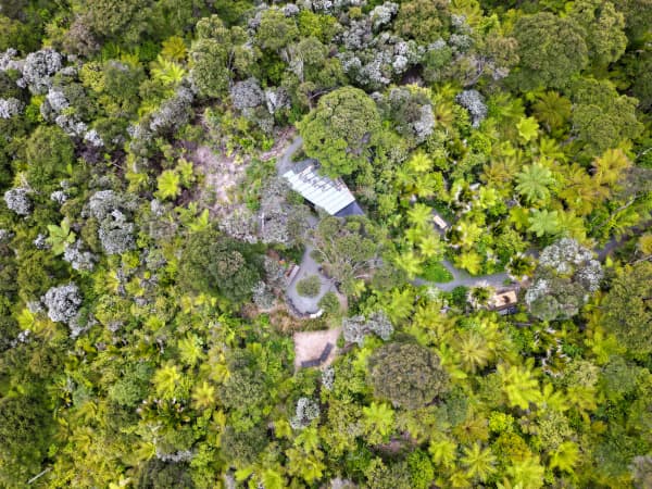 Velskov native forest farm.