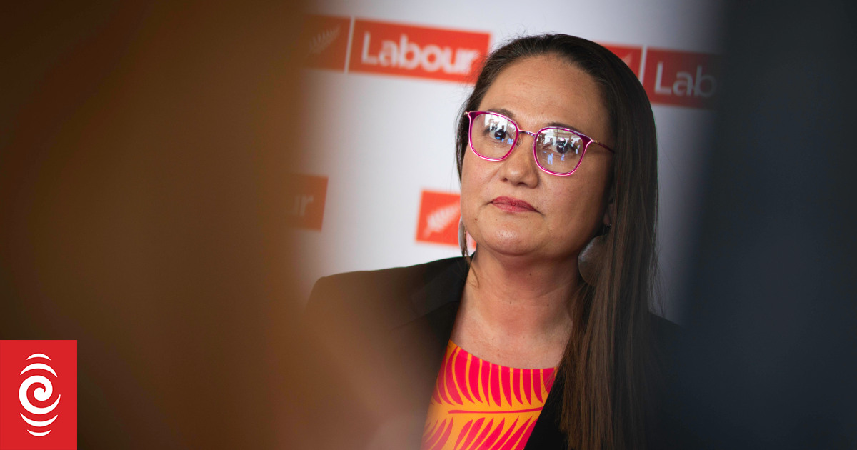 Luxon's quarterly action plan 'pointless' - Labour, Greens - Vimarsana News