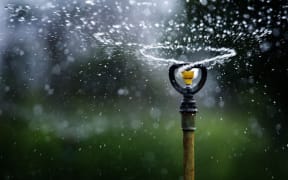 water sprinkler garden hose