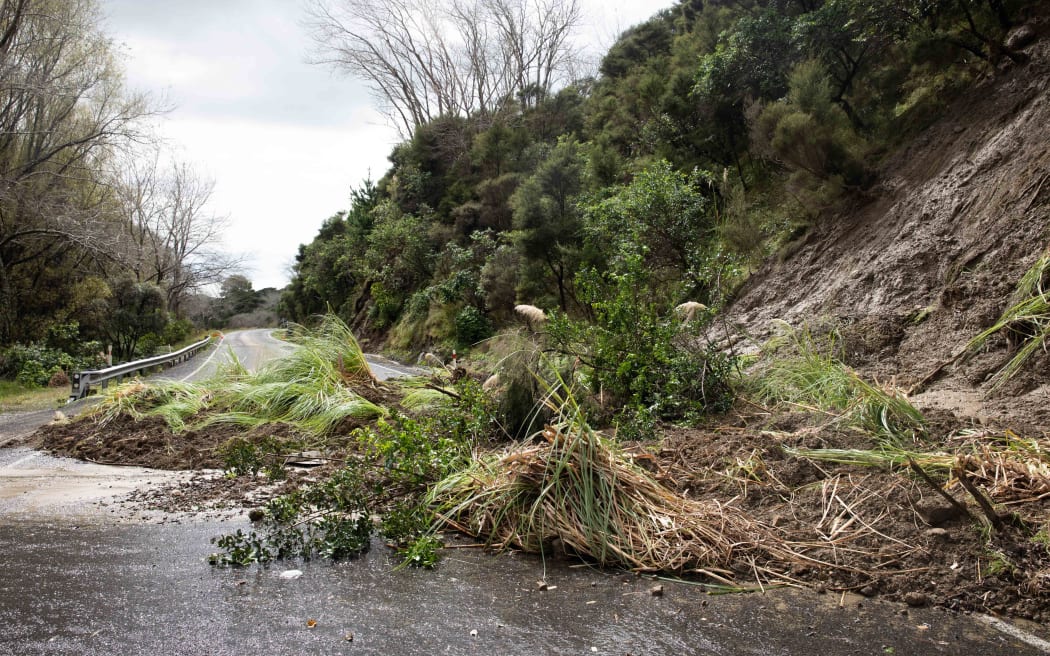 Slips cover the road along State Highway 35