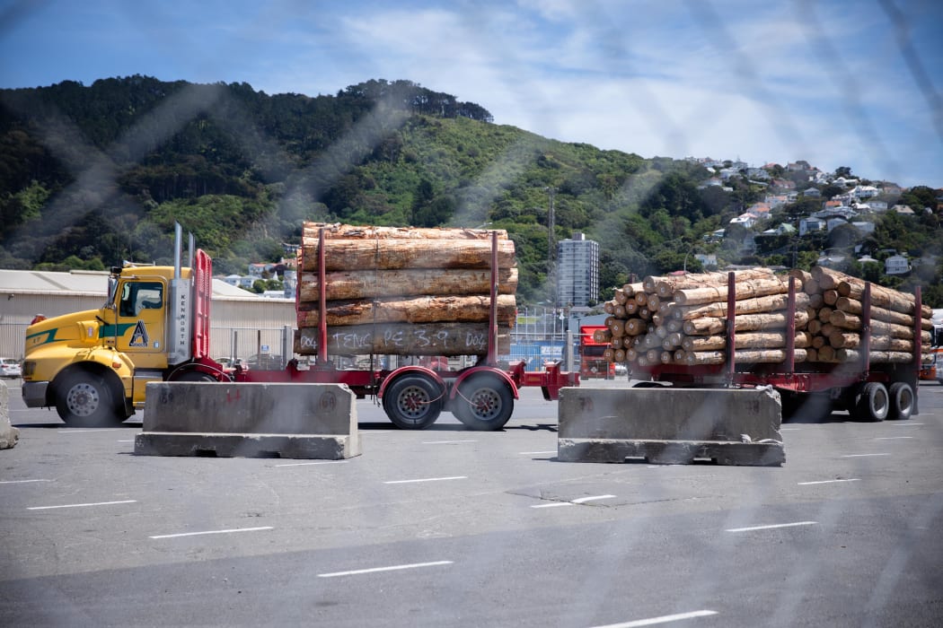 Trucks at Wellington harbour transport NZ wood