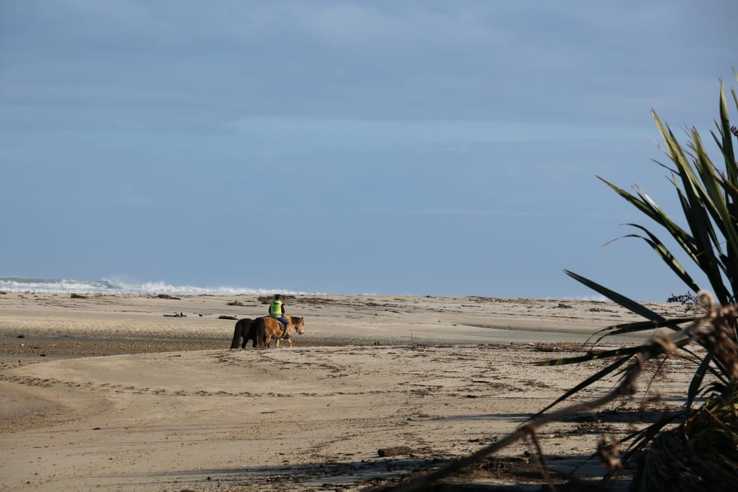 estuary