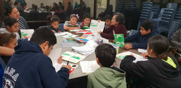 Rotumans target youth in language and culture classes | RNZ