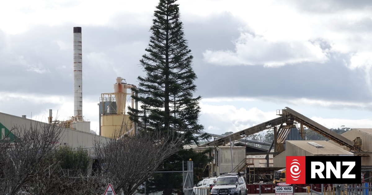 'It's a shock': Kaitāia's Northland Mill closes down two weeks early