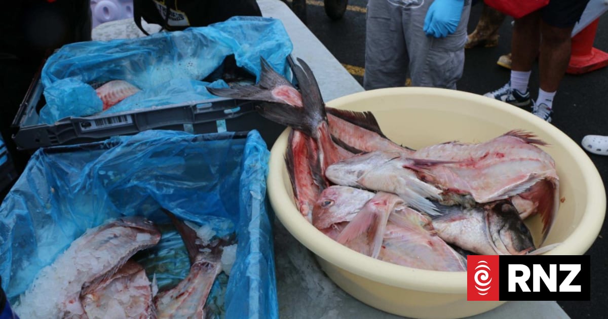 Free fish heads and frames snapped up as cost of living bites