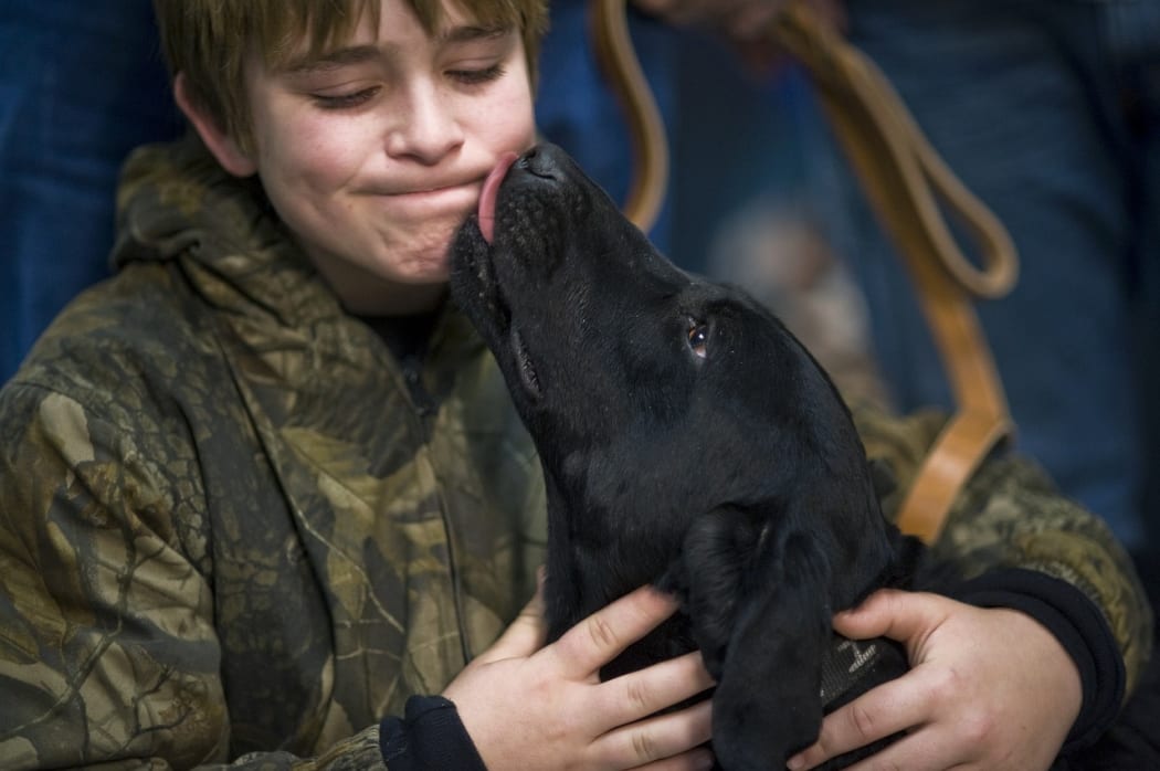 Dog Licking boys face