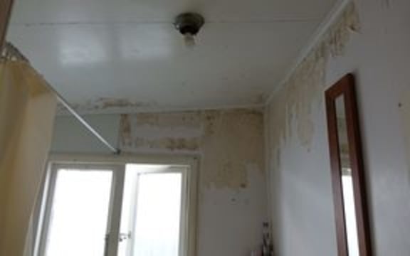 Bathroom mould