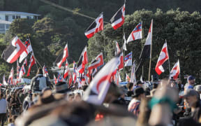 Some of the hikoi that has arrived at Waitangi.