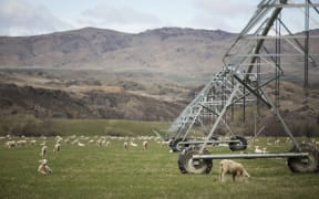 FOR WATER TAX story first - Generic Central Otago