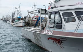 Fishing boats lined up along Bluff wharf.