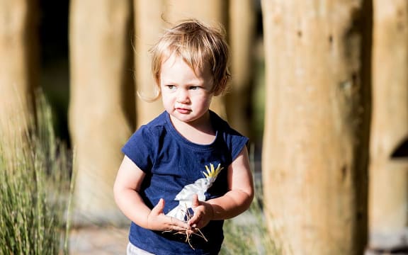 Oranaga Tamariki adoption