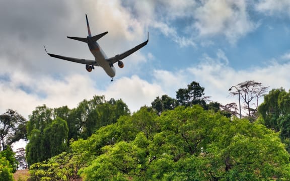 Airplane landing behind trees.