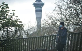 Man walking his dog in front of the Sky tower with a mask on.Covid-19