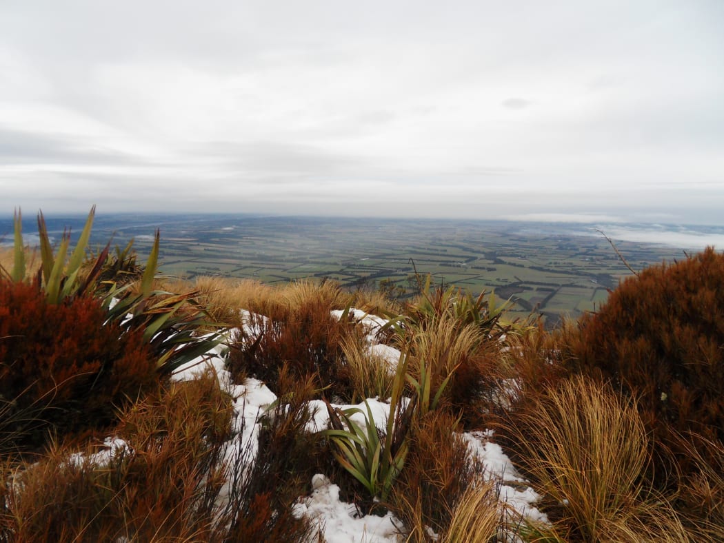 Canterbury Plains as seen from Mt Hutt.