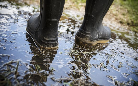 Farming and dairy jobs are being advertised below the minimum wage on teh website.