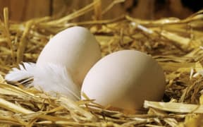Two eggs on straw. (Photo by Jacques Loic / Photononstop / Photononstop via AFP)