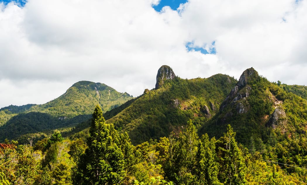 Coromandel Pinnacles at Coromandel Forest Park. Coromandel Peninsula, New Zealand.