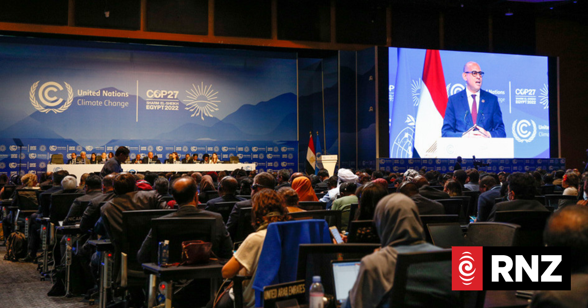 COP 27: Poor countries push for compensation from rich nations | RNZ