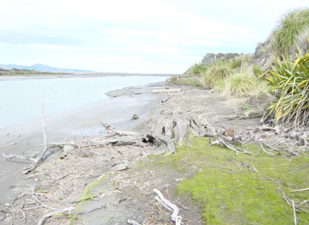 The historic urupā is among the vegetation on the banks of the Nūhaka River and is a "hugely significant site" for Te Iwi o Ngāti Rakaipaaka.