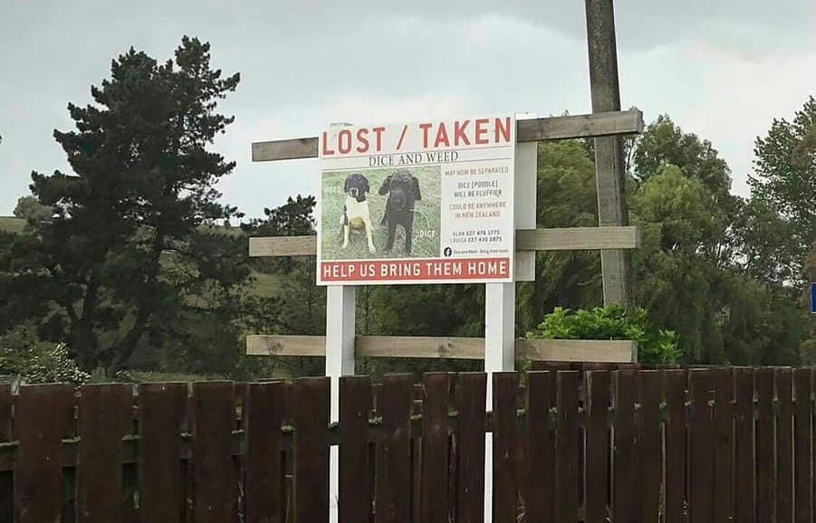 A sign calling for information about the missing dogs.