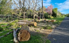 Powerlines down near Halswell in Christchurch after Saturday's heavy winds.