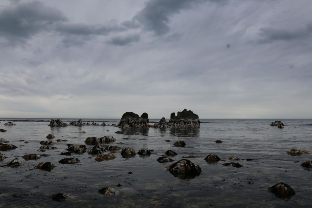 A changing coastline: rocks that used to be below sea level have risen several metres