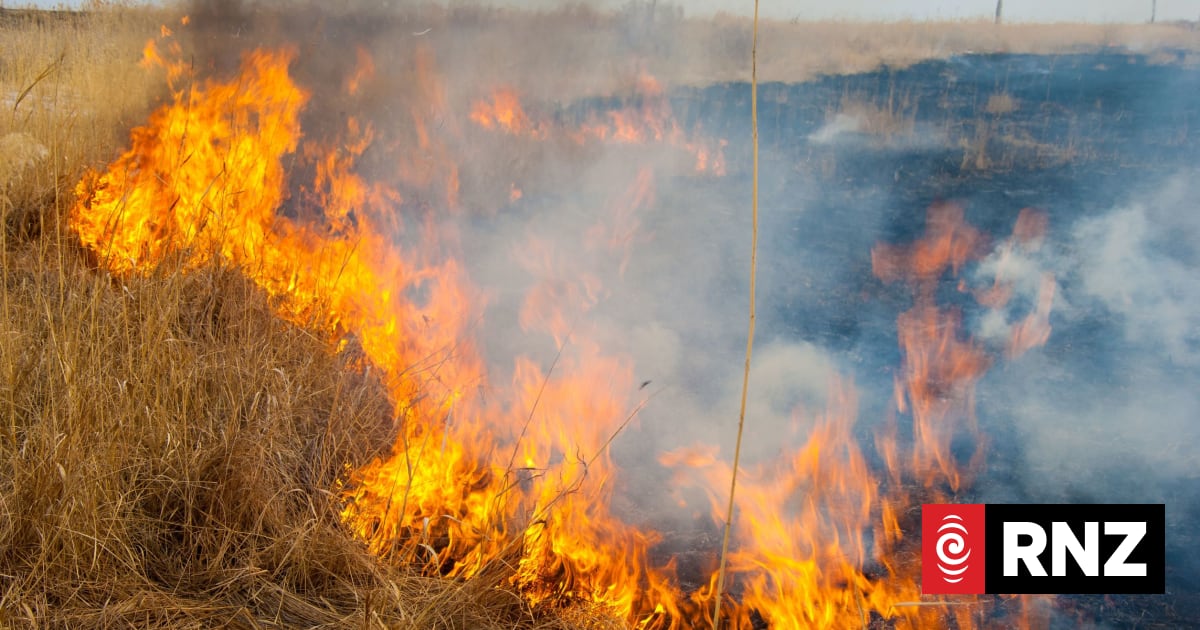 Warning hot, dry conditions raising risk of wildfires across NZ | RNZ